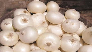 White Onion: తెల్ల ఉల్లిపాయతో కలిగే ఆరోగ్య ప్రయోజనాలు తెలిస్తే..  వాడటం ఇప్పుడే మొదలుపెడతారు..!