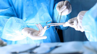 Aeroplane: విమానంలో విలాసవంతమైన బిజినెస్‌ క్లాస్‌లో కనిపించిన అనుకోని అతిధి.. ఒక్కసారిగా ప్రయాణికుల గగ్గోలు..