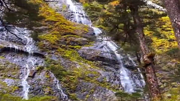 Arunachal Pradesh: ఎత్తైన కొండల పై నుంచి.. నేలకు జాలువారిన పాలధార.. ఒక్కసారైనా సందర్శించాలని సీఎం ట్వీట్..