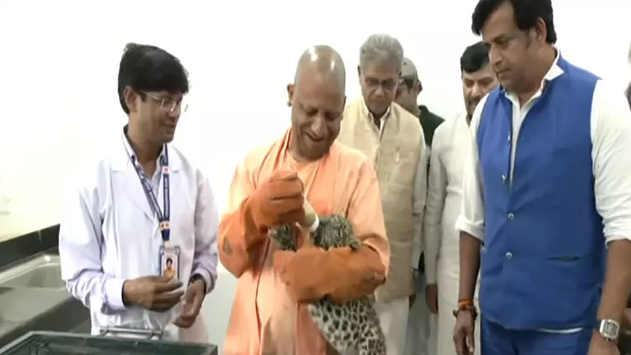 CM Yogi: జూలో చిరుత పిల్లకు పాలు తాగించిన సీఎం యోగి.. వైరలవుతున్న వీడియో