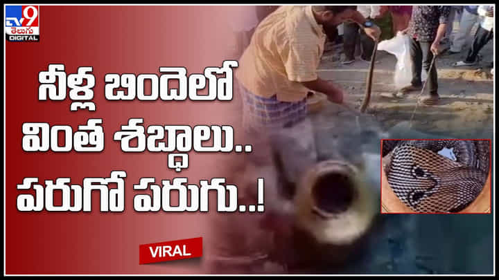 Snake Video: నీళ్ల బిందెలో వింత శబ్ధాలు.. ఏంటో చూడకుండానే పరుగో పరుగు..! చివర్లో ట్విస్ట్.. Snake Video: నీళ్ల బిందెలో వింత శబ్ధాలు.. ఏంటో చూడకుండానే పరుగో పరుగు..! చివర్లో ట్విస్ట్..