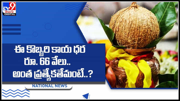 Coconut : ఈ కొబ్బరి కాయ ధర రూ. 66 వేలు.. అంత ప్రత్యేకతేమంటే..? ఎక్కడంటే.? Coconut : ఈ కొబ్బరి కాయ ధర రూ. 66 వేలు.. అంత ప్రత్యేకతేమంటే..? ఎక్కడంటే.?