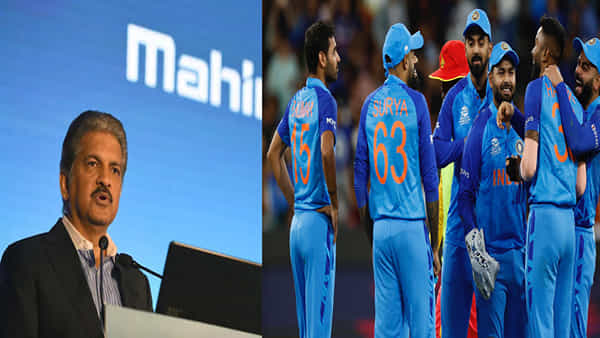 Anand Mahindra: టీమిండియా ఓటమిని ఇంకా జీర్ణించుకోలేకపోతున్నారా? అయితే ఈ వీడియో చూడండి..