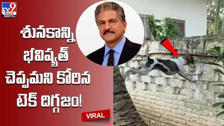 శునకాన్ని భవిష్యత్తులోకి తొంగి చూసి చెప్పాలని కోరానంటూ కోరానంటున్న టెక్ దిగ్గజం శునకాన్ని భవిష్యత్తులోకి తొంగి చూసి చెప్పాలని కోరానంటూ కోరానంటున్న టెక్ దిగ్గజం