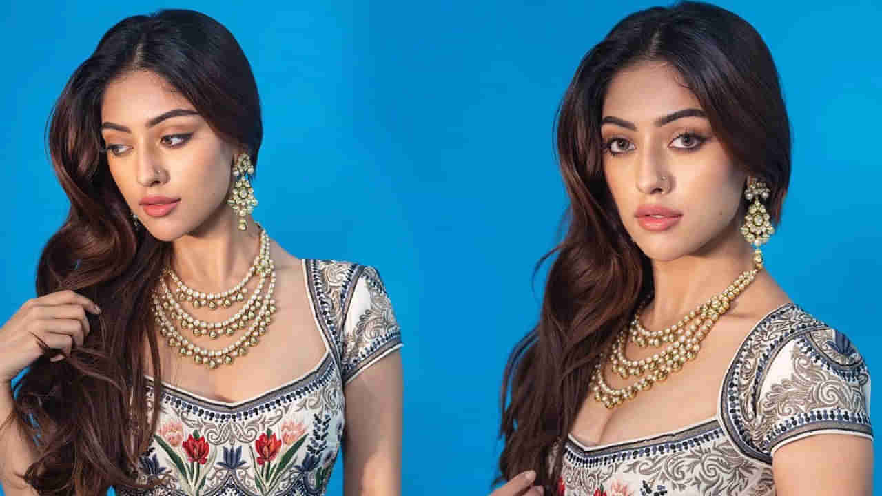 Anu Emmanuel: లక్కీ ఛాన్స్ కొట్టేసిన అను ఇమ్మాన్యుయేల్.. ఏకంగా ఆ తమిళ్ స్టార్ హీరో సరసన బ్యూటీ గర్ల్..