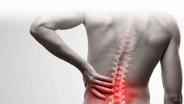 Back Pain: మీ వెన్నెముక విపరీతంగా పెయిన్ వస్తుందా? చికిత్స లేకుండానే ఇలా తగ్గించుకోండి..