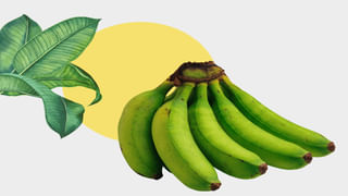 Vitamin D Deficiency: చలికాలంలో విటమిన్ డి లోపాన్ని జయించాలంటే ఈ నాలుగు ఫుడ్స్ తప్పుకుండా తీసుకోండి..