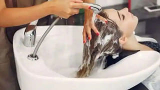 Health Tips: ఆస్తమా, కిడ్నీ వ్యాధులు, బోన్ వేర్ అన్ని సమస్యలకు ఈ ఒక్క ఆకు చాలు!! ఇట్టే మాయం..