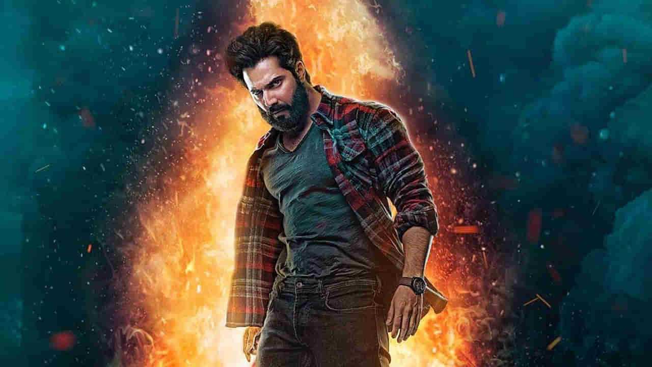 Varun Dhavan: రణబీర్ను ఫాలో అవుతున్న బాలీవుడ్ స్టార్ హీరో.. ఆ సినిమాతో తెలుగులోకి ఎంట్రీ ఇవ్వనున్న వరుణ్ ధావన్..