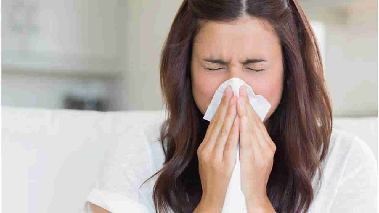Blocked Nose: చలికాలంలో ముక్కు దిబ్బడతో ఇబ్బంది పడుతున్నారా? ఈ సింపుల్‌ చిట్కాలతో ఉపశమనం పొందండి