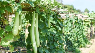 Hyderabad: ఓ ఇంట్లో నుంచి ఒక్కసారిగా చెలరేగిన మంటలు.. నిప్పు వెనుక భగ్గుమన్న నిజం.. భార్య, ప్రియుడిపై..