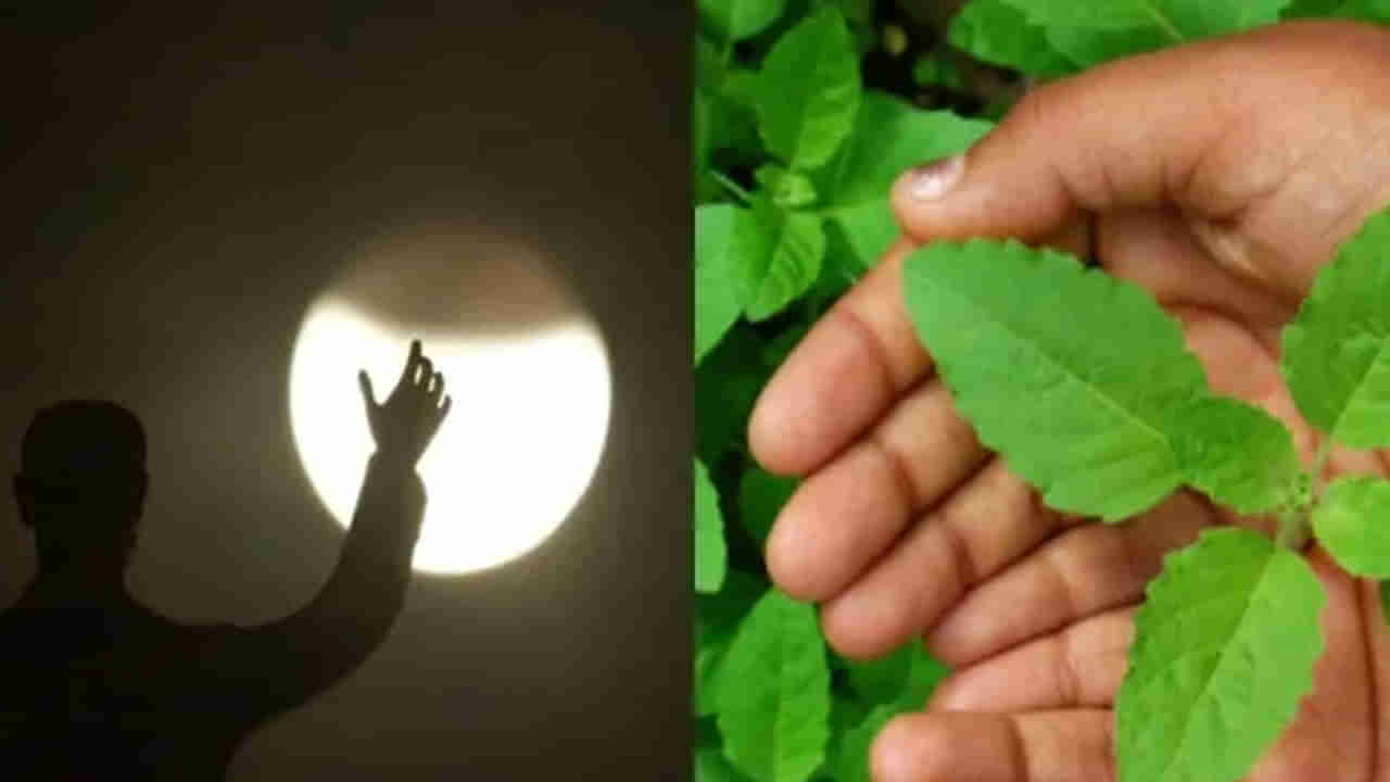 Lunar Eclipse 2022: చంద్ర గ్రహణం సమయంలో తప్పక పాటించాల్సిన నియమం.. వాటితో తులసిని కలపడం మర్చిపోవద్దు..