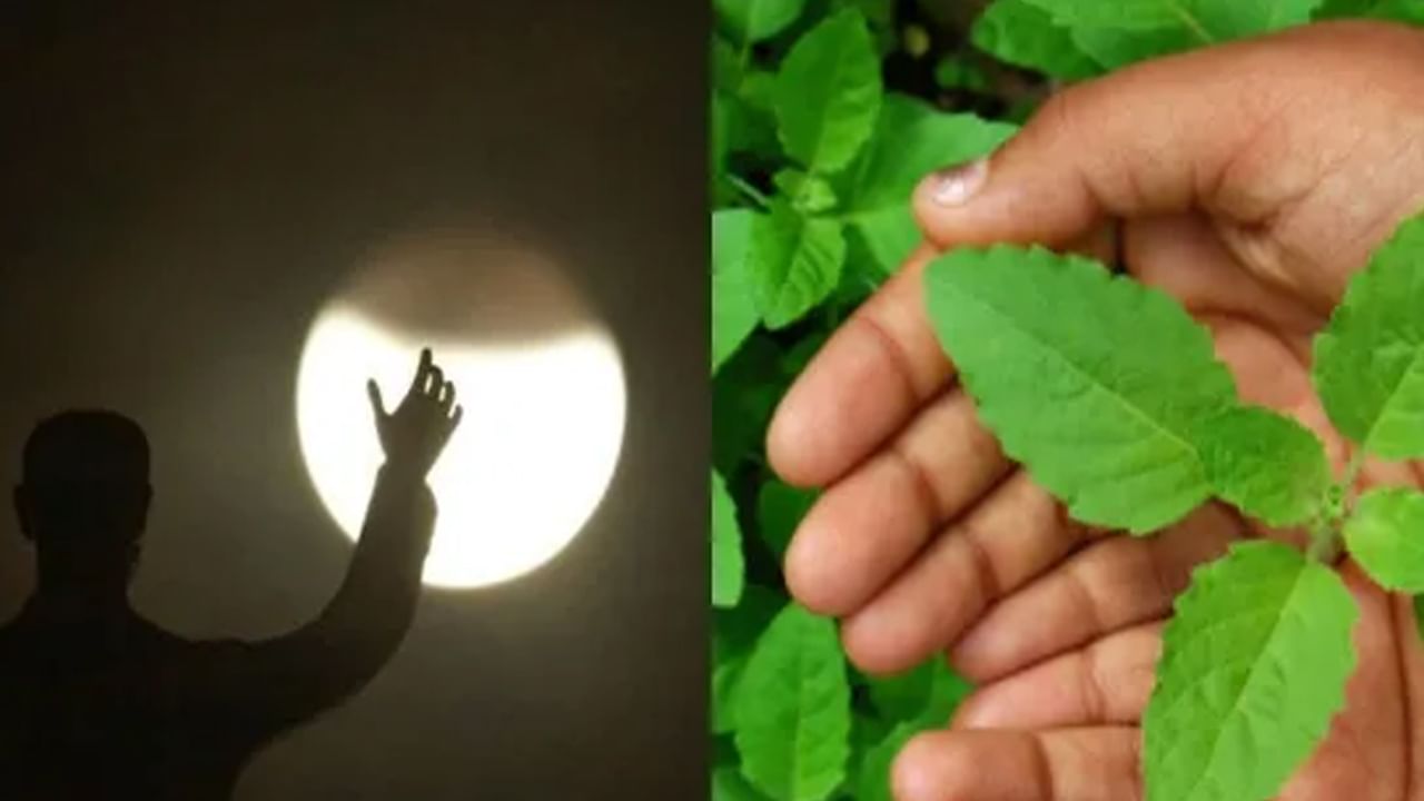 Lunar Eclipse 2022: చంద్ర గ్రహణం సమయంలో తప్పక పాటించాల్సిన నియమం.. వాటితో 'తులసి'ని కలపడం మర్చిపోవద్దు..