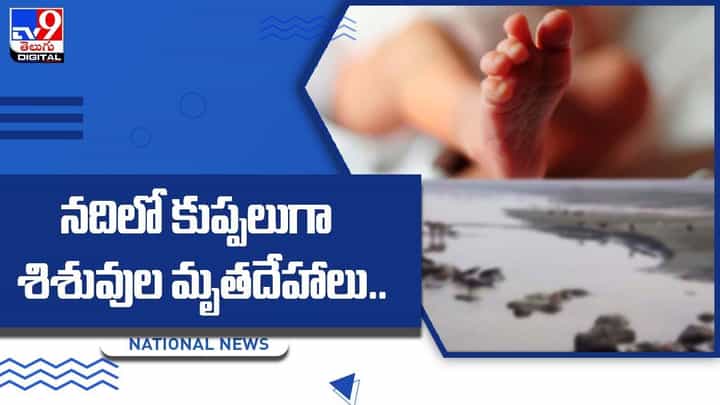 నదిలో కుప్పలుగా శిశువుల మృతదేహాలు !! పోలీసుల విచారణలో సంచలన విషయాలు నదిలో కుప్పలుగా శిశువుల మృతదేహాలు !! పోలీసుల విచారణలో సంచలన విషయాలు