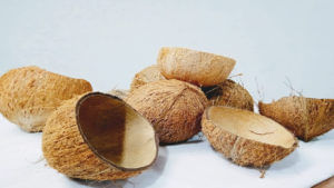 Coconut shell: జుట్టును నల్లగా మార్చే కొబ్బరి చిప్ప..! ఇంకేన్నీ ప్రయోజనాలో తెలిస్తే ముక్క కూడా వదలిపెట్టరు. 