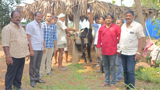 AP Rains: ఏపీ ప్రజలకు ముఖ్య అలెర్ట్.. భయపెడుతోన్న అల్పపీడనం! ఆ జిల్లాలకు..