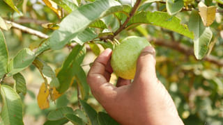 By Polls Results: ఉత్కంఠగా మారిన ఉప ఎన్నిక ఫలితాలు.. దేశవ్యాప్తంగా ఎక్కడ ఎలా ఉందంటే..