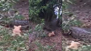 Viral Video: చిన్నారి చెప్పిన సమాధానానికి టీచర్ కు దిమ్మ తిరిగింది.. ఇంతకు ఆ బుడ్డది ఏమన్నదంటే..