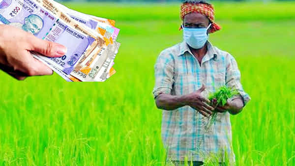 Crop Loans: రైతుల కోసం ప్రత్యేక పథకం.. ఎటువంటి హామీ లేకుండానే రూ.50 వేల రుణం ఇస్తున్న ఆ బ్యాంకు..