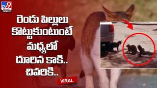 ఈ టెకీ కాన్ఫిడెన్స్‌కి హ్యాట్సాఫ్‌.. ట్విట్టర్‌ మాజీ ఎంప్లాయ్‌ పోస్ట్‌కు నెటిజ‌న్లు ఫిదా