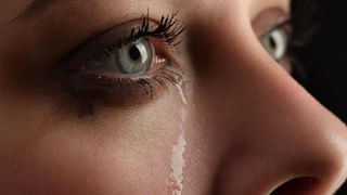 New Variant of Dengue: జ్వరం తగ్గిన తర్వాత ప్లేట్‌లెట్స్ ఒక్కసారిగా పడిపోయాయా? భయపెడుతున్న డెంగ్యూ కొత్త వేరియంట్‌