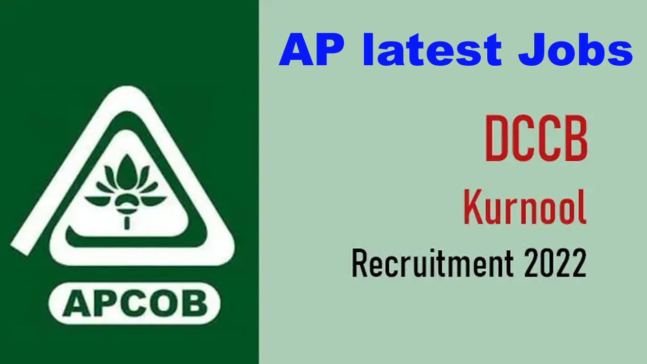 DCCB Kurnool Recruitment 2022: కర్నూలు జిల్లా డిస్ట్రిక్ట్‌ కో ఆపరేటివ్‌ సెంట్రల్‌ బ్యాంక్‌లో ఉద్యోగాలు.. ఈ అర్హతలు అవసరం..