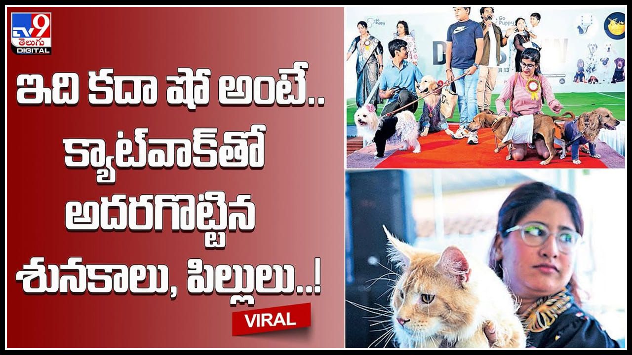 Dog Cat Show ఇది కదా షో అంటే.. క్యాట్‌వాక్‌తో అదరగొట్టిన శునకాలు