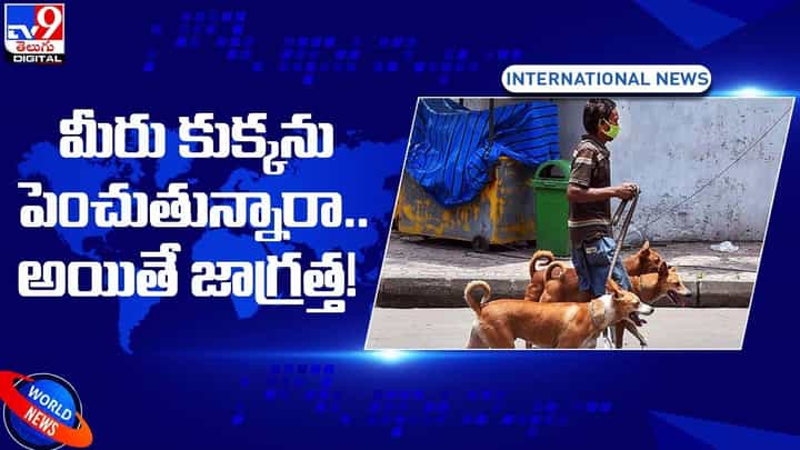 మీరు కుక్కను పెంచుతున్నారా.. అయితే జాగ్రత్త.. లేదంటే ఫైన్ కట్టాల్సిందే మీరు కుక్కను పెంచుతున్నారా.. అయితే జాగ్రత్త.. లేదంటే ఫైన్ కట్టాల్సిందే