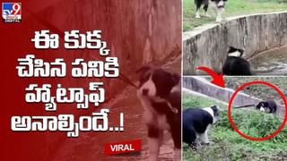 Groom Funny Dance: డ్యాన్స్ చేయాలంటే స్టెప్స్ రావాల్సిన పనిలేదు.. కోరిక ఉండాలంటే.. వరుడు స్టెప్స్ చూస్తే పడిపడి నవ్వాల్సిందే..