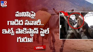 అకస్మాత్తుగా మరణించింది గోవు.. కన్నీరు పెట్టిన లేగ దూడ..