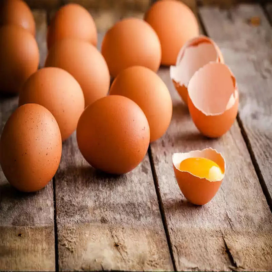 Egg Is Veg Or Non Veg 5