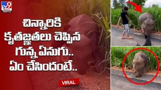 ఇంత దారుణమా.. ఎవరిపై అత్యాచారం చేయాలో లిస్ట్ రాసుకుని మరీ..