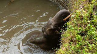 AP Weather: ఏపీకి అల్పపీడనం ముప్పు.. ఆ ప్రాంతాలకు వర్షసూచన చేసిన వాతావరణ శాఖ