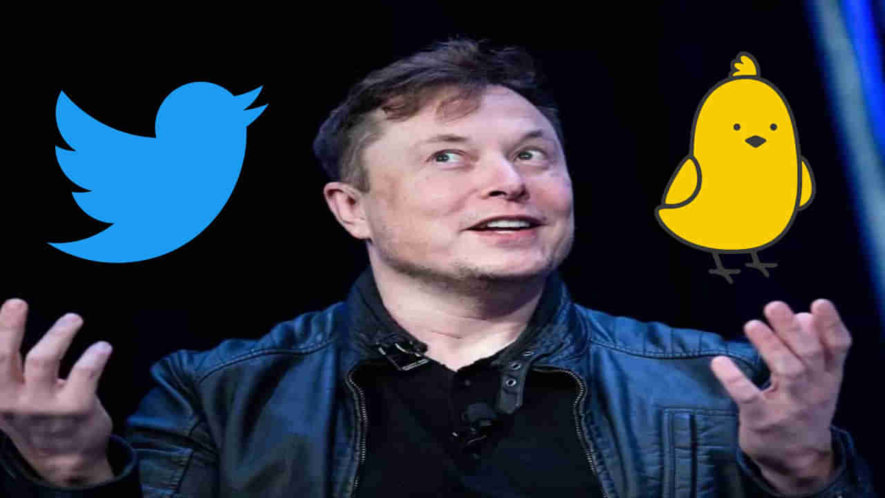 Elon Musk - Twitter: ట్విట్టర్ మనుగడ ప్రశ్నార్థకం కానుందా..? మస్క్ మామది భస్మాసుర హస్తమా..!