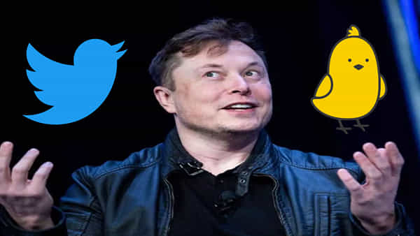 Elon Musk - Twitter: ట్విట్టర్ మనుగడ ప్రశ్నార్థకం కానుందా..? మస్క్ మామది భస్మాసుర హస్తమా..!