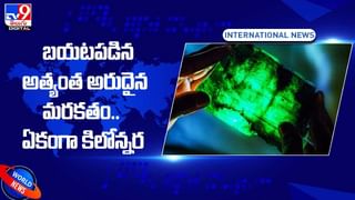 Guinness World Records: వారెవా.. చప్పట్లతో గిన్నిస్‌ వరల్డ్‌ రికార్డ్‌..
