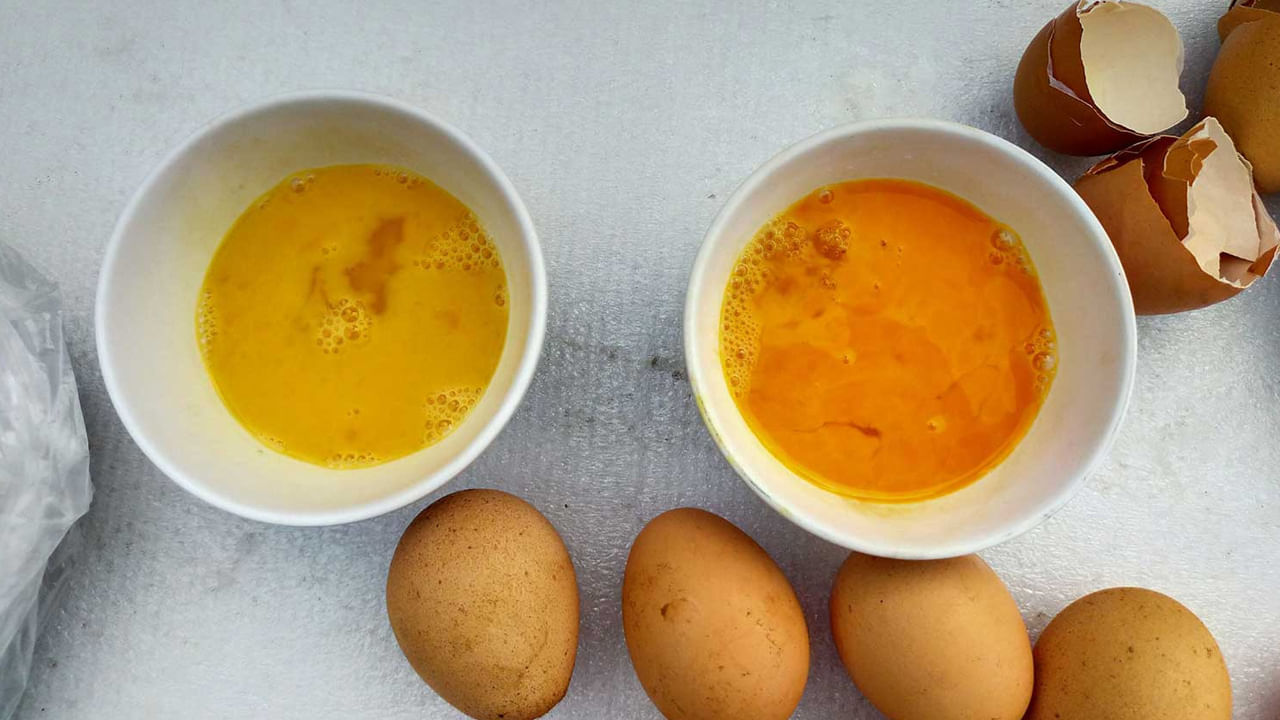 Fake Eggs తస్మాత్‌ జాగ్రత్త.. మార్కెట్లో విరివిగా నకిలీ గుడ్లు.. ఈ