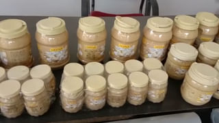 Telangana: షర్మిల అరెస్ట్‌పై స్పందించిన తెలంగాణ గవర్నర్ తమిళిసై.. రాజశేఖర్ రెడ్డి కుమార్తె అంటూ