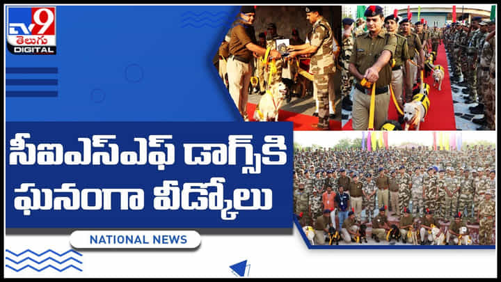 CISF Dogs: సీఐఎస్ఎఫ్ డాగ్స్కి ఘనంగా వీడ్కోలు.. అర్మీలో పదేళ్లు సర్వీస్ అందించిన స్పార్కీ , ఇవాన్.. CISF Dogs: సీఐఎస్ఎఫ్ డాగ్స్కి ఘనంగా వీడ్కోలు.. అర్మీలో పదేళ్లు సర్వీస్ అందించిన స్పార్కీ , ఇవాన్..