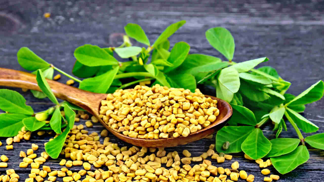 Fenugreek Leaves: శీతాకాలంలో మెంతి కూర రోజూ తింటే బోలెడన్ని ప్రయోజనాలు.. అవేంటో తెలిస్తే అస్సలు వదిలిపెట్టరు..