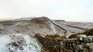 బాత్రూమ్ సింగర్ కావాలనుకుంటున్న రామచిలుక..ఎలా పాట పాడుతుందో చూశారా ?..
