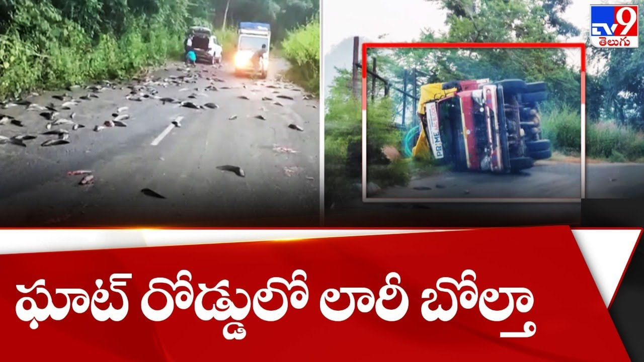 Andhra Pradesh: ఘాట్ రోడ్డులో లారీ బోల్తా.. రోడ్డుపై చెల్లాచెదురుగా చేపలు.. అసలు విషయం ఏంటంటే..