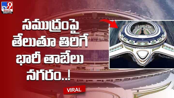 Floating City: సముద్రంపై తేలుతూ తిరిగే భారీ తాబేలు నగరం Floating City: సముద్రంపై తేలుతూ తిరిగే భారీ తాబేలు నగరం