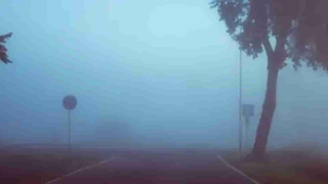 Andhra Pradesh and Telangana: తెలుగు రాష్ట్రాలను కమ్మేస్తున్న పొగమంచు.. భారీగా పడిపోతున్న ఉష్ణోగ్రతలు..