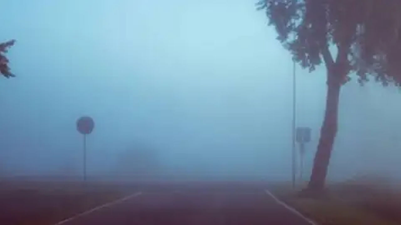 Andhra Pradesh and Telangana: తెలుగు రాష్ట్రాలను కమ్మేస్తున్న పొగమంచు.. భారీగా పడిపోతున్న ఉష్ణోగ్రతలు..