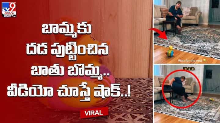 బామ్మకు దడ పుట్టించినఇంట్లోని బాతు బొమ్మ.. వీడియో చూస్తే షాక్ బామ్మకు దడ పుట్టించినఇంట్లోని బాతు బొమ్మ.. వీడియో చూస్తే షాక్