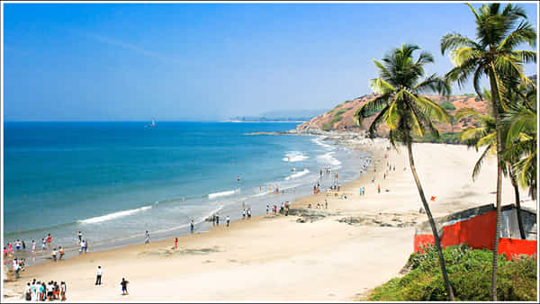 Goa Tour: గోవా టూర్ వెళ్తున్నారా? కొత్త నిబంధనలు తెలుసుకోండి.. తేడా వస్తే రూ.50 వేల వరకు జరిమానా