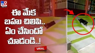 చిన్నారికి కృతజ్ఞతలు చెప్పిన గున్న ఏనుగు.. ఏం చేసిందంటే ??