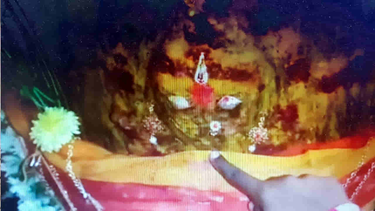 వేపచెట్టుకు అమ్మవారి ఆకారం.. మొక్కులు  చెల్లించుకుంటున్న భక్తులు.. ఎక్కడంటే..