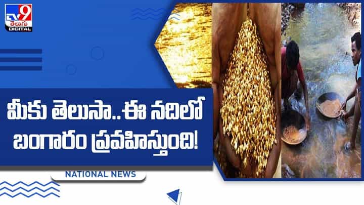 Golden River: మీకు తెలుసా.. ఈ నదిలో బంగారం ప్రవహిస్తుంది !! Golden River: మీకు తెలుసా.. ఈ నదిలో బంగారం ప్రవహిస్తుంది !!